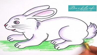 Vẽ Con Thỏ