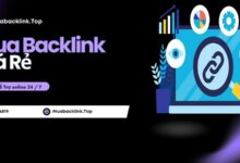 Mua backlink giá rẻ